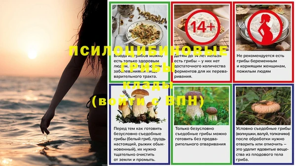 MDMA Premium VHQ Алзамай